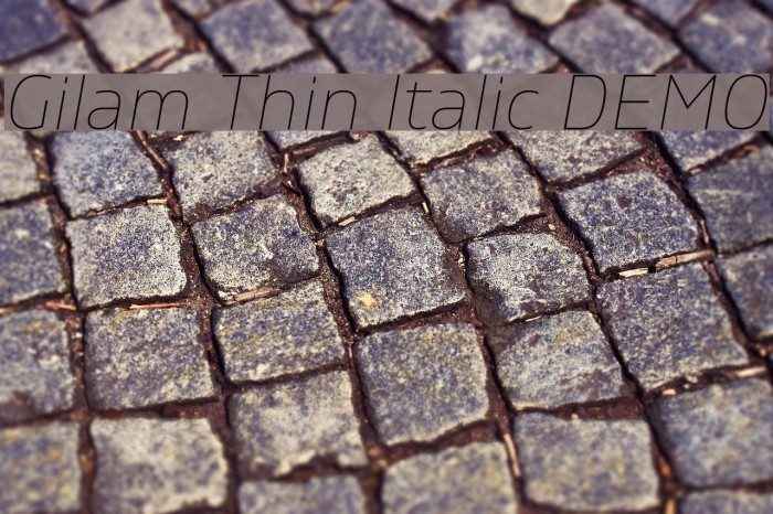 Gilam Thin Italic DEMO Font examples