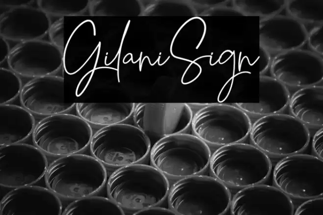 Gilani Sign Font examples