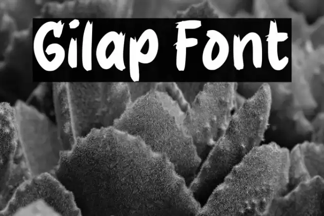 Gilap Font examples