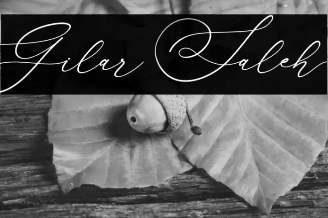 Gilar Saleh Caratteri examples