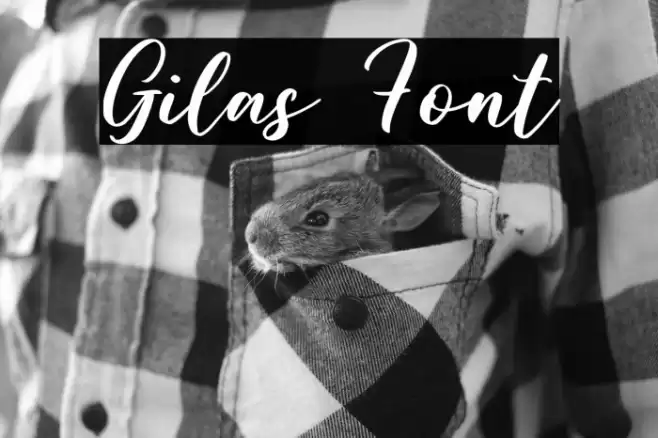 Gilas Font examples