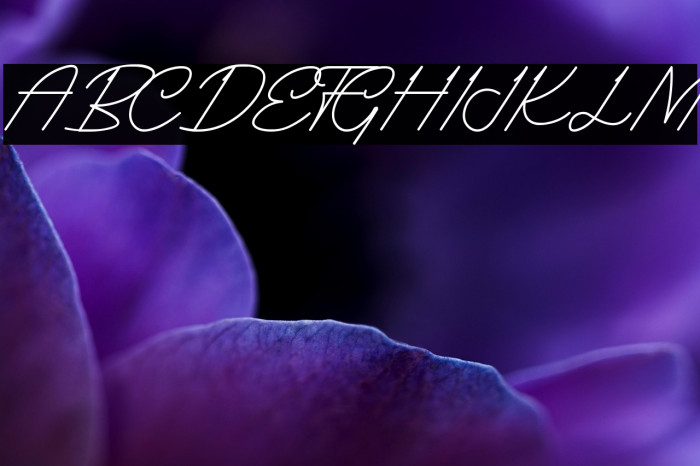 Gilbert Einstein Italic Example 3