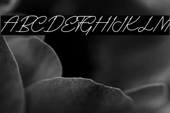 Gilbert Einstein Italic Font examples