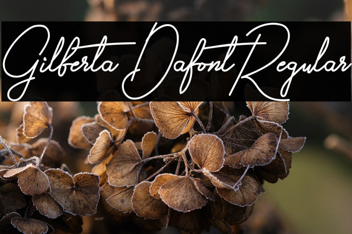 Gilberta Dafont Regular Example 1