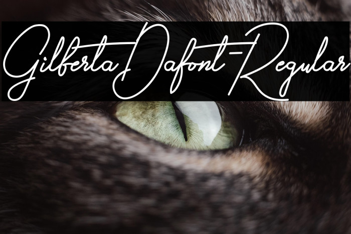 GilbertaDafont-Regular Example 1