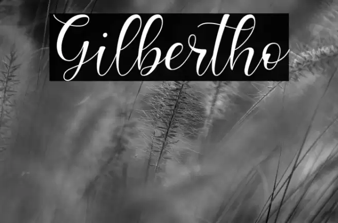 Gilbertho Font examples
