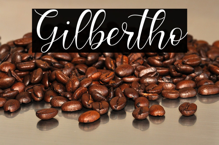 Gilbertho Example 3