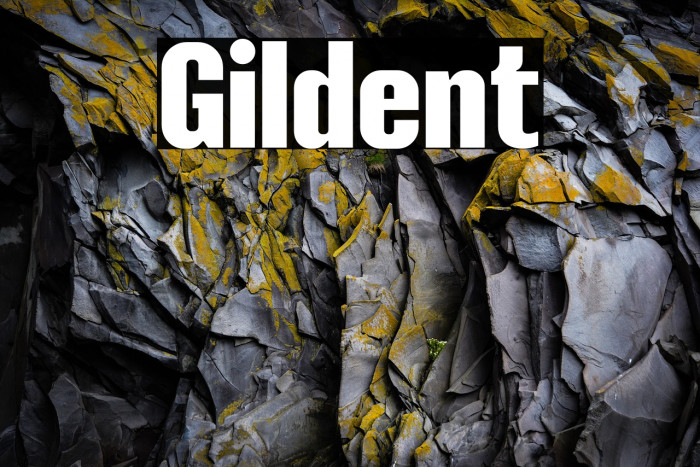 Gildent Example 1