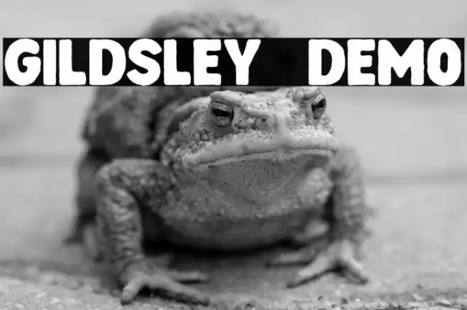 Gildsley   DEMO Caratteri examples