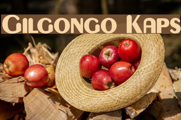Gilgongo Kaps Font examples