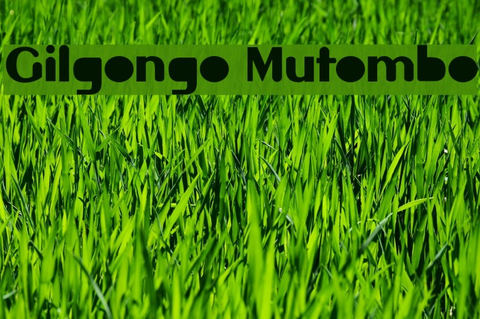 Gilgongo Mutombo Font examples