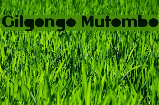 Gilgongo Mutombo Example 2
