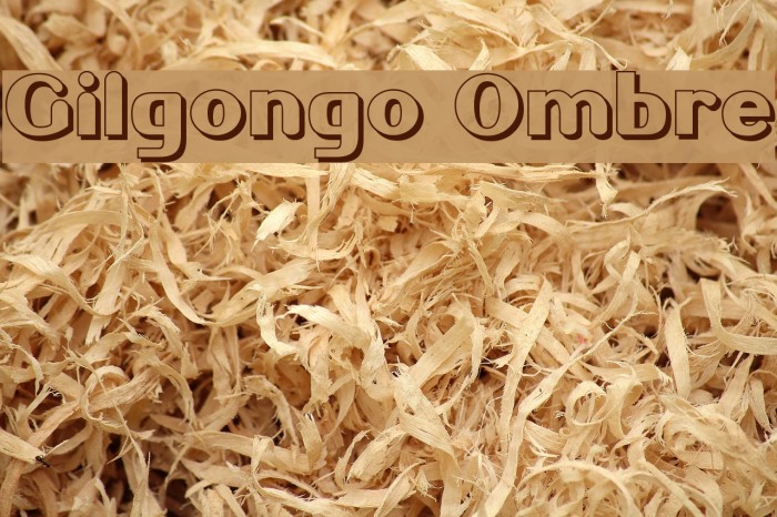 Gilgongo Ombre Font examples