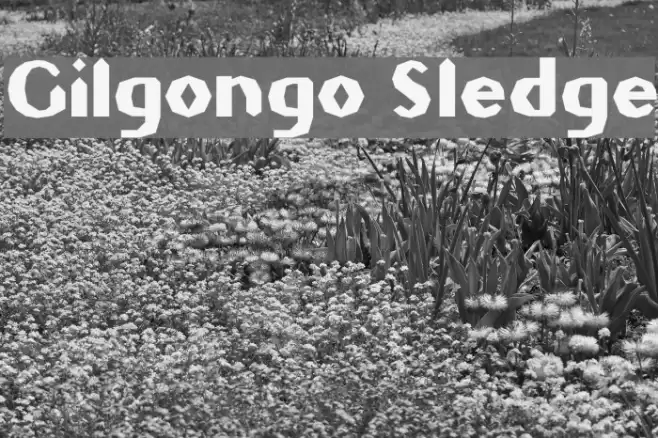 Gilgongo Sledge Font examples