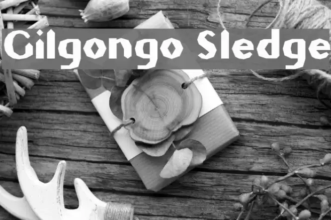 Gilgongo Sledge Font examples