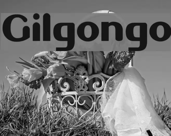 Gilgongo Font examples