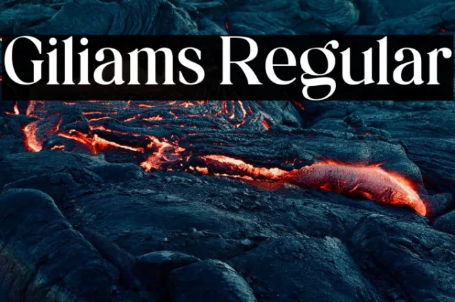 Giliams Regular Example 1