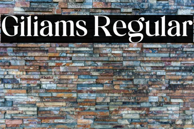 Giliams Regular Example 3