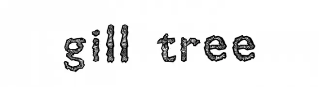 Gill Tree  Descarca Fonturi Gratis
