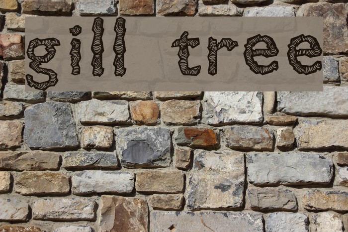 Gill Tree Font examples