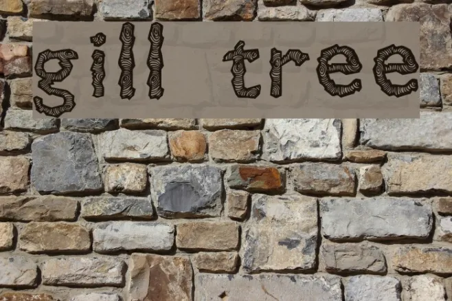 Gill Tree Example 1