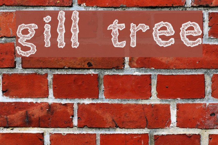Gill Tree Font examples