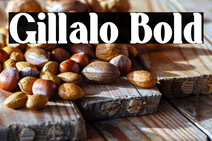 Gillalo Bold Example 1