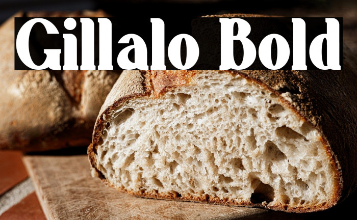 Gillalo Bold Example 2