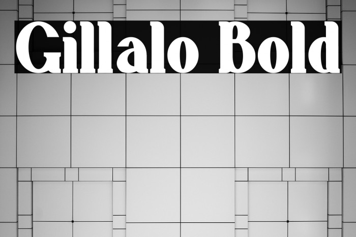 Gillalo Bold Example 3