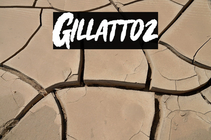 Gillattoz Example 2