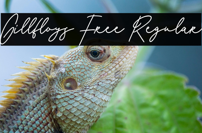 Gillfloys Free Regular Example 3