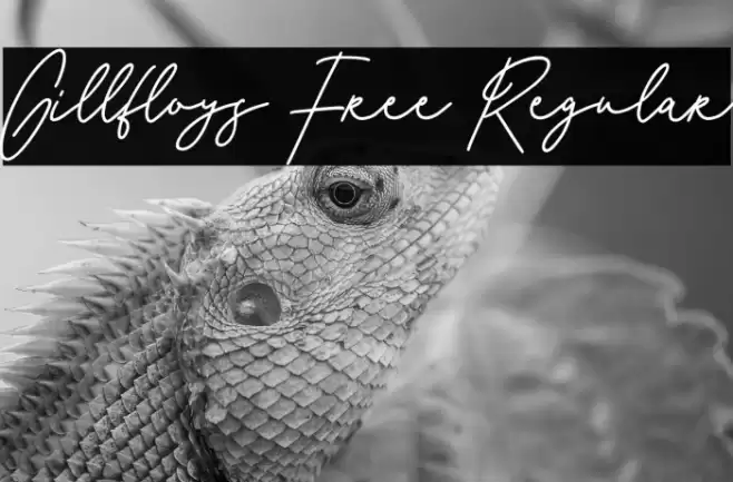 Gillfloys Free Regular Font examples