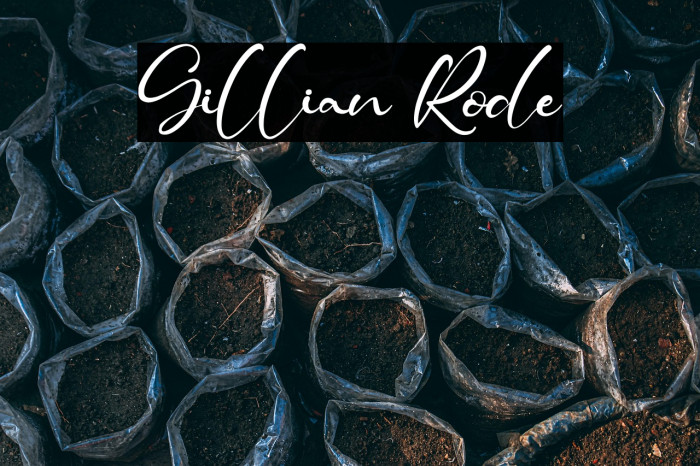 Gillian Rode Example 2