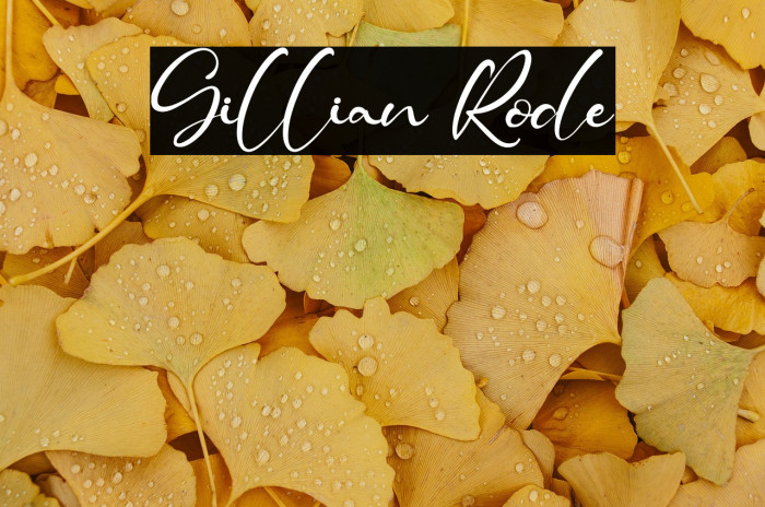 Gillian Rode Example 3