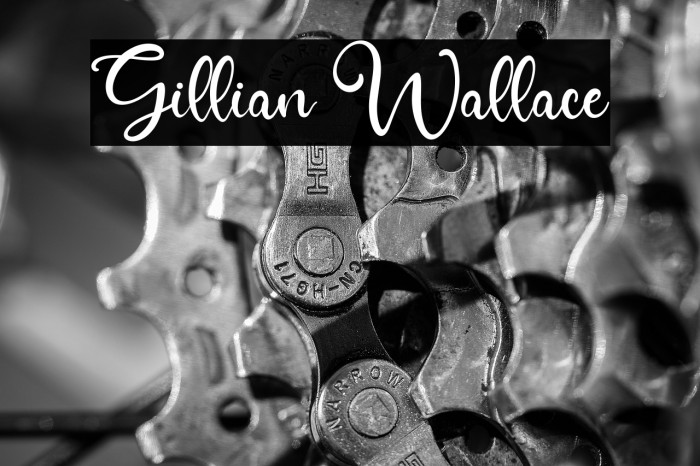 Gillian Wallace Example 2