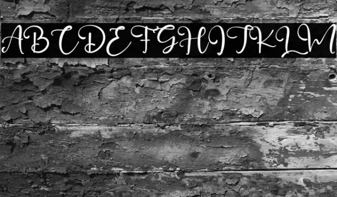 GillianWallace Font examples