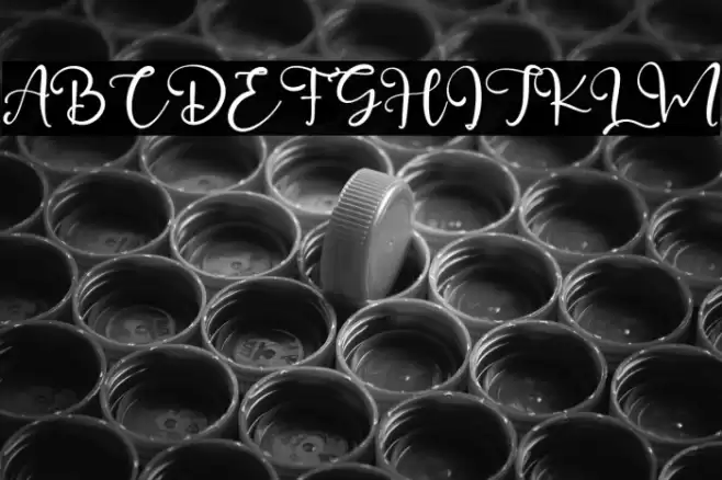 GillianWallace Font examples