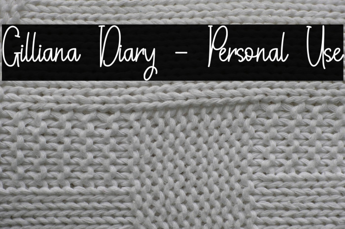 Gilliana Diary - Personal Use Example 1