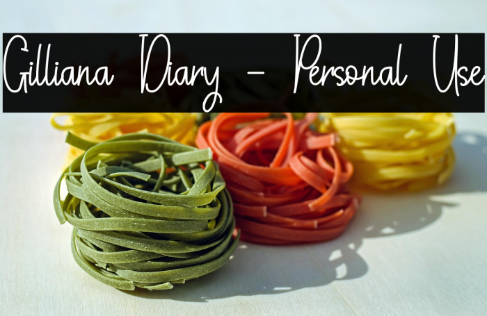Gilliana Diary - Personal Use Example 2