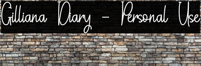 Gilliana Diary - Personal Use Example 3
