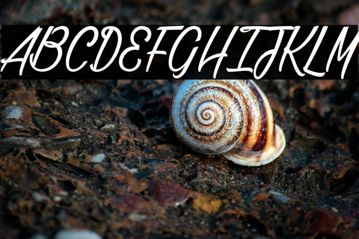 Gillie & Hilda_PersonalUseOnly Example 1