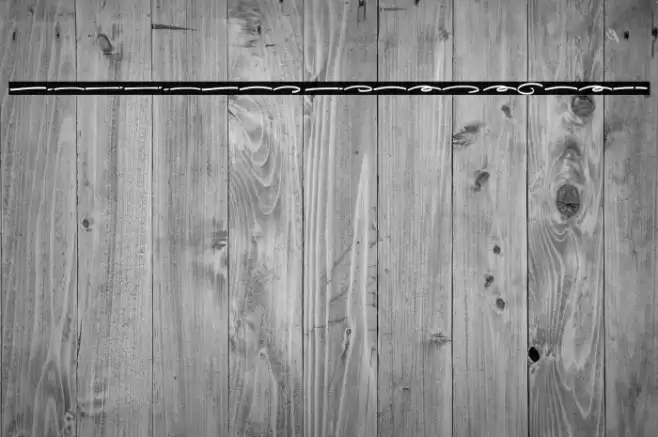 Gilligan Coast Swash Font examples