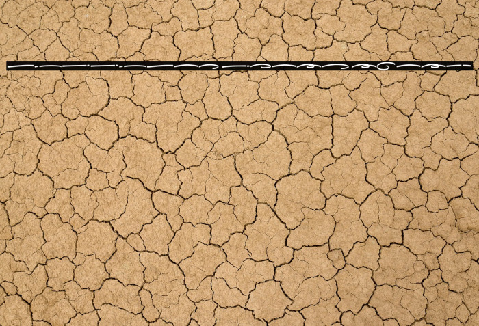 Gilligan Coast Swash Example 2