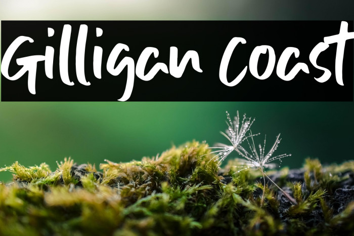 Gilligan Coast Example 1