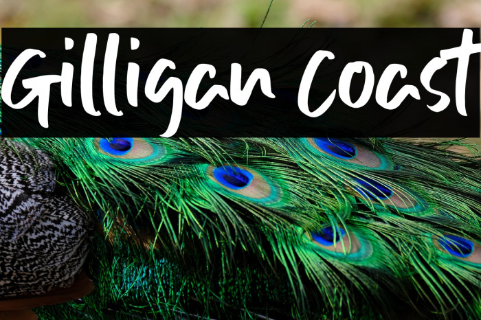 Gilligan Coast Example 2