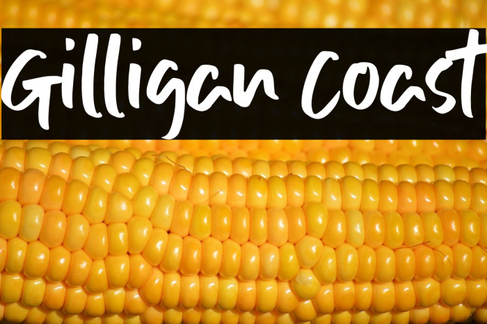 Gilligan Coast Example 3