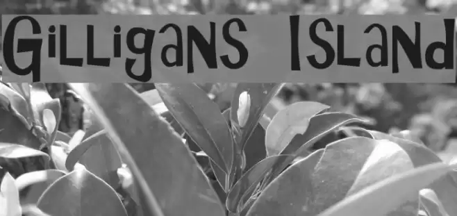 Gilligans Island Font examples