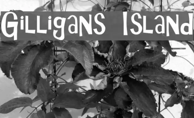 Gilligans Island Font examples