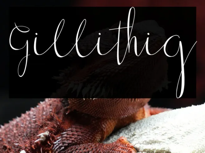 Gillithig Example 1