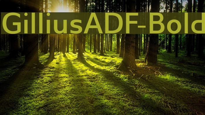 GilliusADF-Bold Font examples